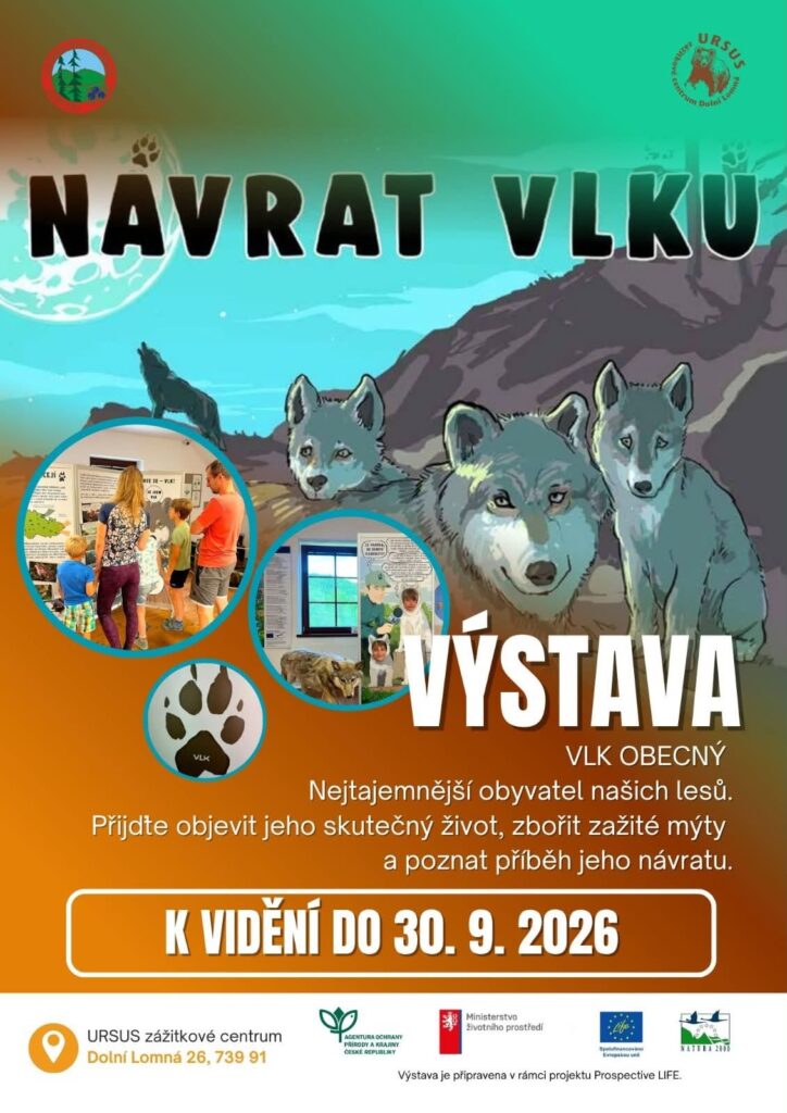 742858713 1607394374724163 6643909530036692446 n | Výstava "Návrat vlků"