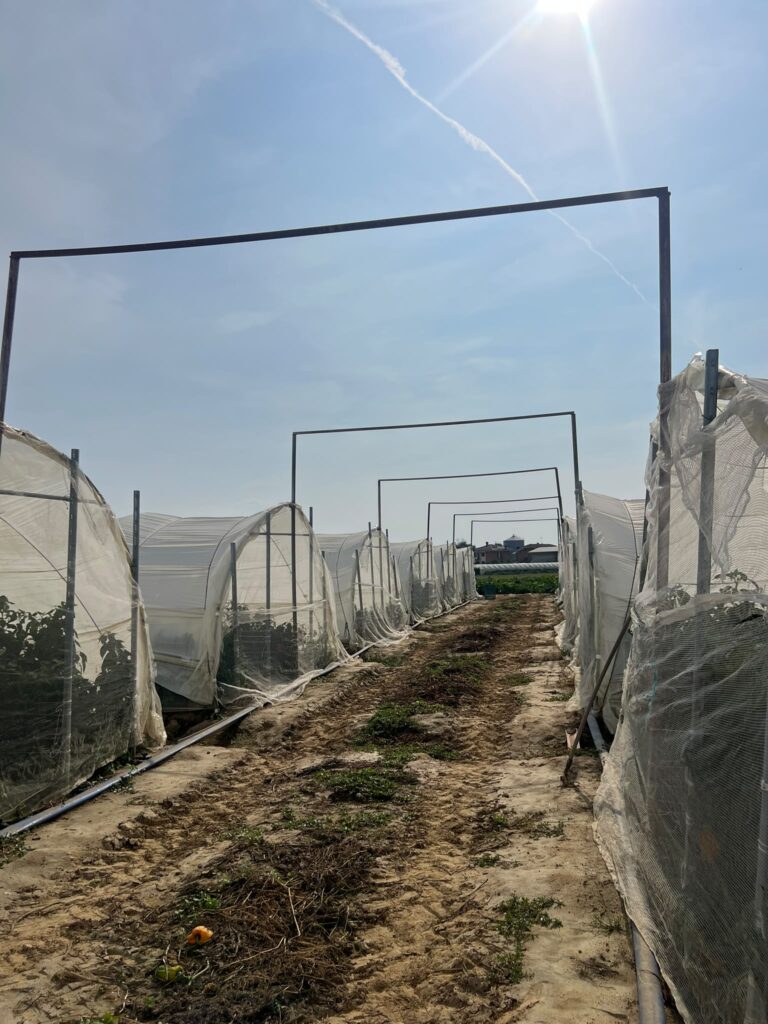 WhatsApp Image 2026 10 07 at 09.57.39 1 1 | Itálie: Biodiverzita, udržitelné zemědělství a vzdělávání